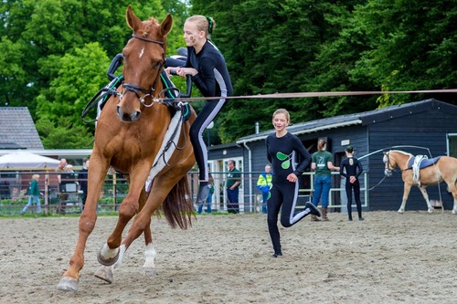 Foto bij Proefles Voltige D'n Hoef