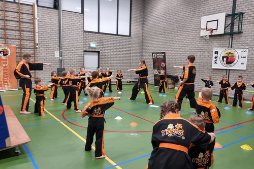 TKD Tigers Life Skills